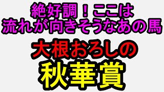 秋華賞2025!ここは最初から決めてました。馬場も加味すると鉄板【競馬予想】