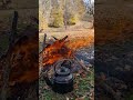 Campfire Sounds for Deep Relaxation #Campfire #ASMR
