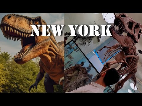 Video: NYC'deki Amerikan Doğa Tarihi Müzesi Rehberi