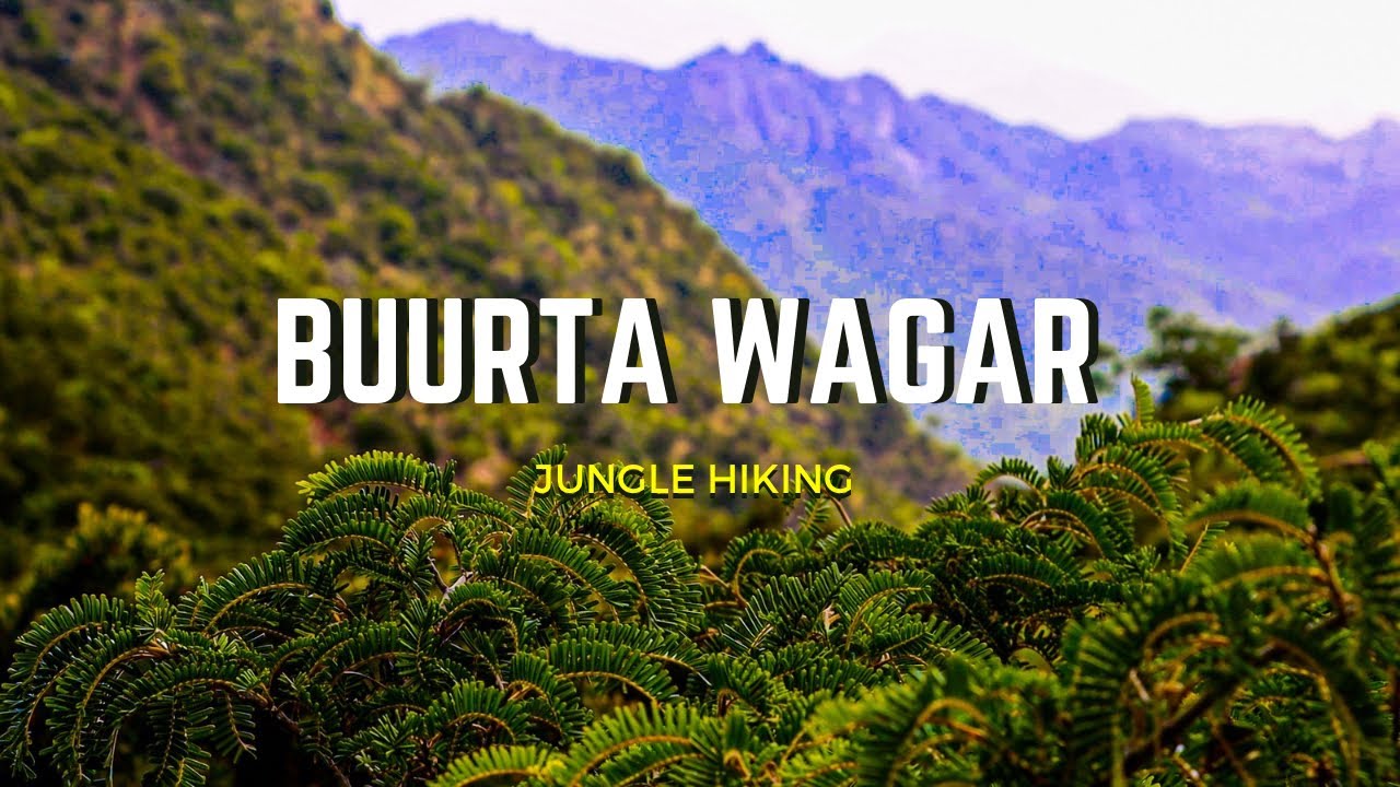 Waxaan Lug Ku Tagay Buuraha Wagar | Hoyga Shabeellada 🐆