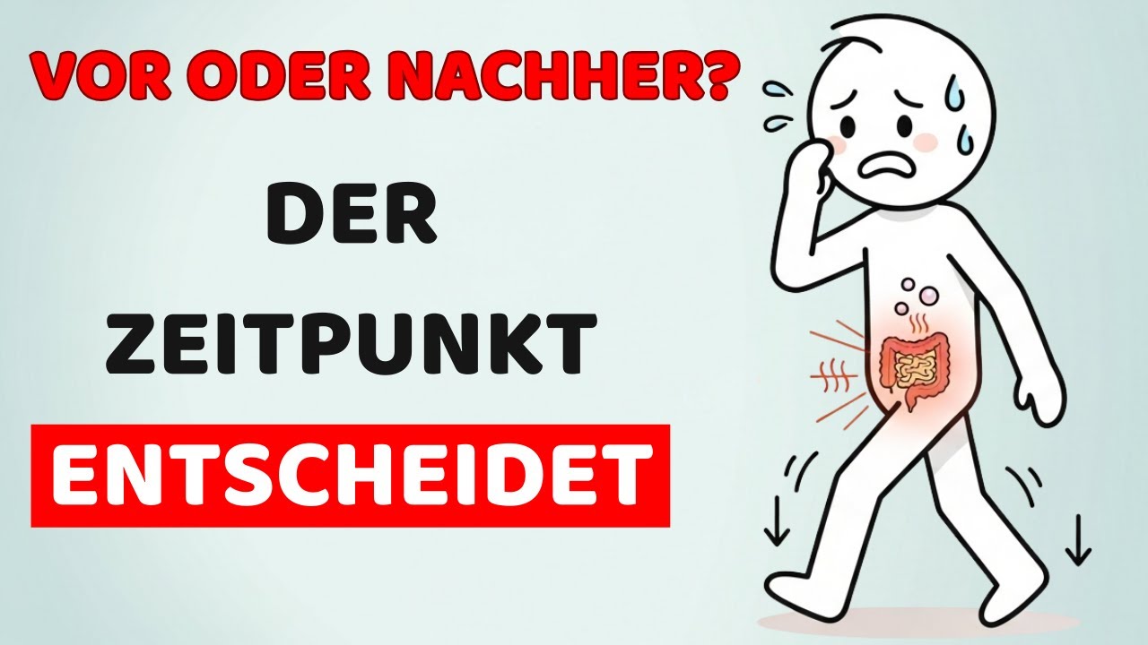 Was passiert, wenn du vor oder nach dem Essen spazieren gehst? – Wissenschaftlich erklärt