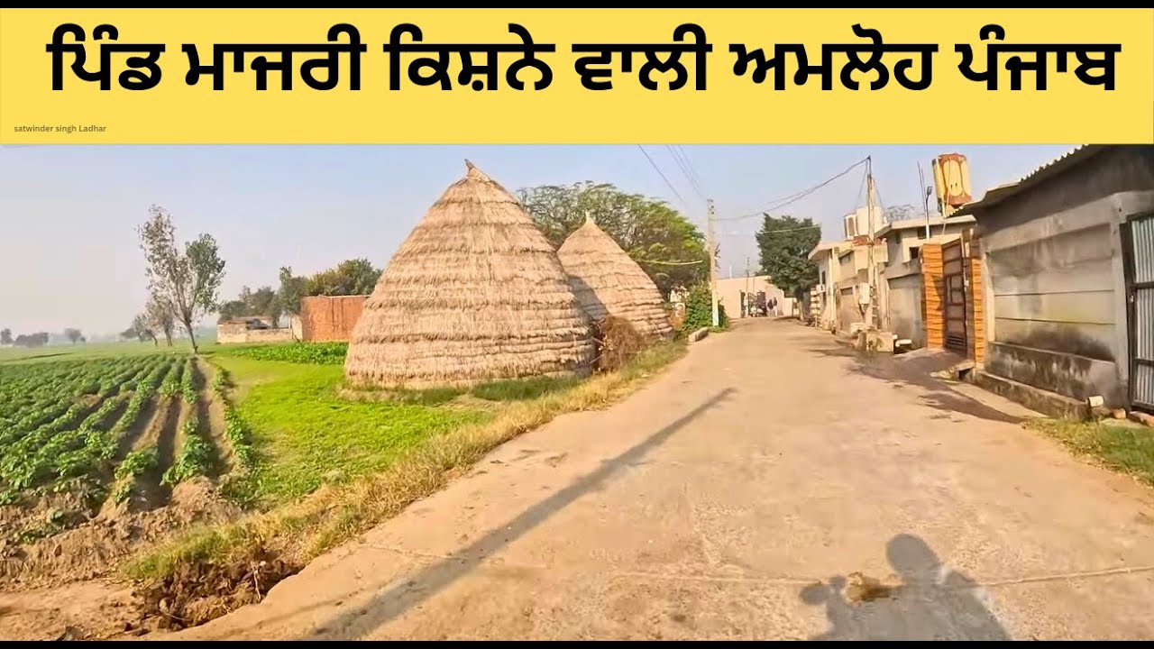 Village Majri Kishne Wali Amloh Punjab