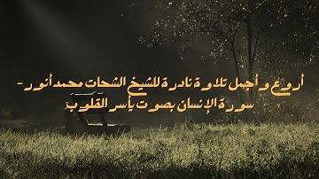 🎤 أروع وأجمل تلاوة نادرة للشيخ الشحات محمد أنور – سورة الإنسان بصوت يأسر القلوب ✨