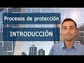 Introducción / Procesos de protección