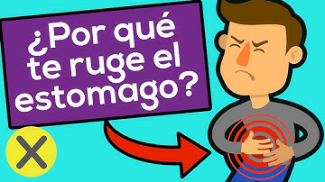 10 Respuestas a preguntas curiosas (PyR)