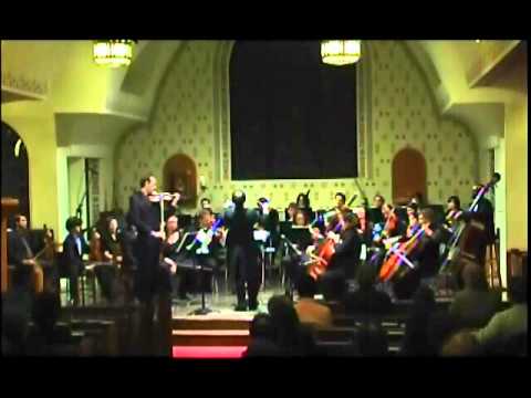 Goldmark Violin Concerto, Op. 28 - 1st mvt. Allegro moderato, Part 1