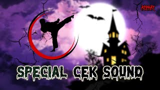 Lagu Ini Cocok Buat Cek Sound - Audio Pencak Silat By RCPartmalangcity