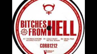 Thomas Krome - Bitches From Hell Remix EP [Devilfish Remix - B2]
