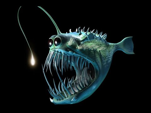 10 самых опасных и страшных рыб тварей с глубин великого океана и моря рыбы Deep Sea Alien