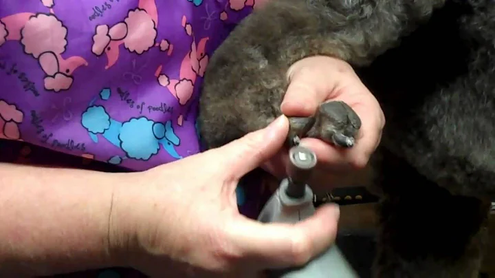 How to Dremel Nails by Laurie Hogan - OVPC Seminar