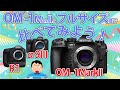 【比較】OM-1MarkIIとフルサイズ機で比べてみた Canon R1 SONY α9III【検証】