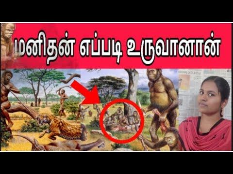 HOW MAN CAME TO EARTH? | MANIDHAN YEPPADI THOONDRINAAN | THANGA PULLAINGA