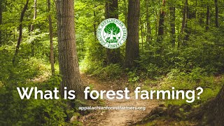 What is forest farming?