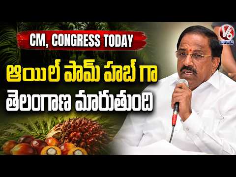 CM, Ministers Today : Telangana Is Becoming an Oil Palm Hub | V6 News - V6NEWSTELUGU