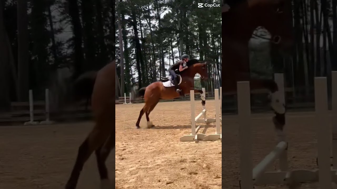 Couldn T Decide On A Sound 