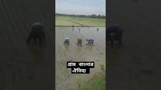 আহা কি মনোরম দৃশ্য bangladesh shortsvideo viral