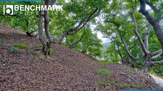 Palo Vista Rd, Fallbrook, CA 92028 // Offered by Benchmark Properties