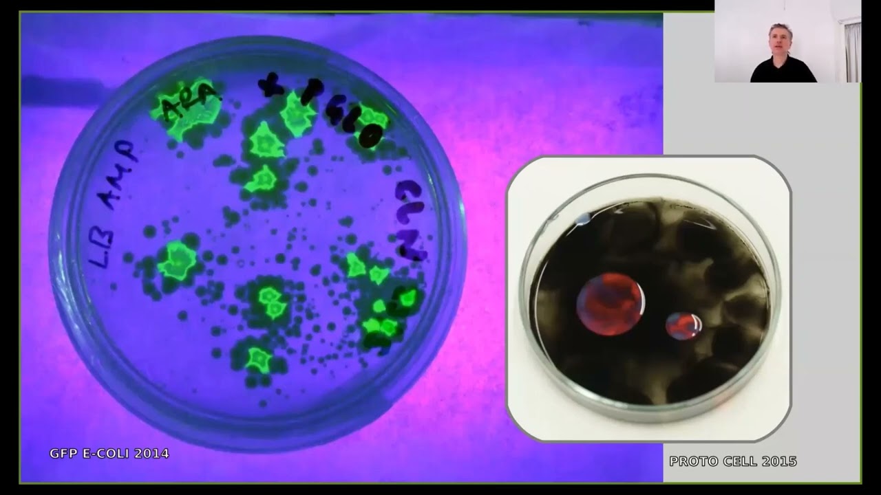 Erich Berger & Björn Kröger / Bioart Society: Navigating the fine madness of art and science