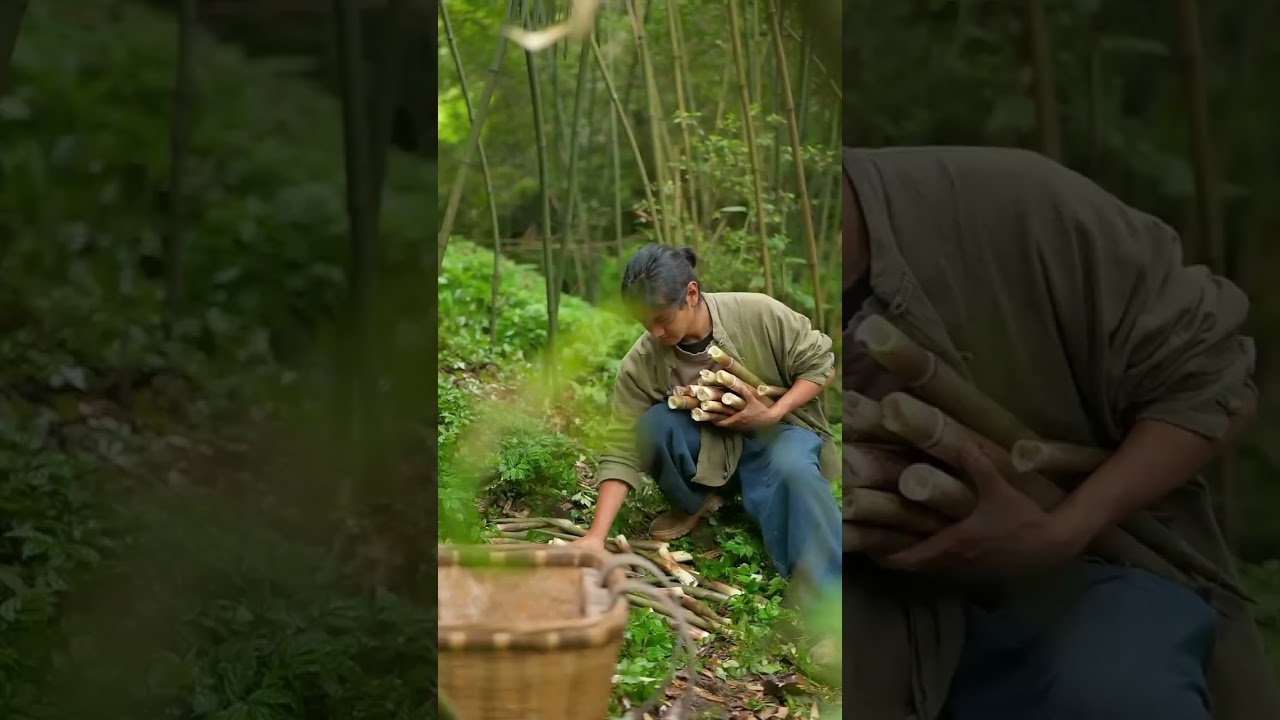 Nature's gift, free bamboo shoots are not a dream!