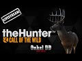 Der vergessene Aussichtspunkt | Livestream | Call of the Wild #36