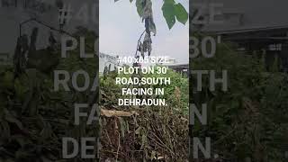 RESIDENCIAL  PLOT FOR  SALE  IN  APPROVED COLONY, DEHRADUN