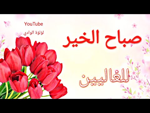 مقاطع صباح الخير صباحيات واتساب صباح الخير ستوريات صباح الخير واتساب
