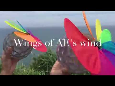 AENA ALPHA PRO 2015〜AEの風