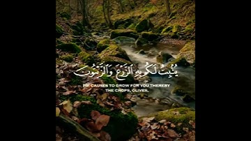 أجمل تلاوة رائعة جميلة🍂حالات واتساب مقاطع دينية قصيرة#تلاوات_خاشعة 🍀القاري#ياسر_الدوسري #قران_كريم💫