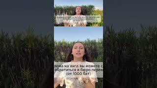 Сколько я заплатила за легализацию документов в Таиланде? #работазаграницей #учительвтаиланде