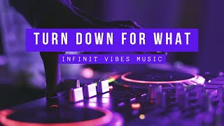 DJ Snake x Lil Jon - Turn Down for What | Best Of 2014