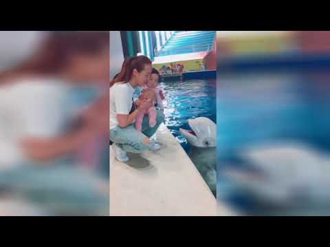 Baby Cries After Being Kissed By Beluga Whale