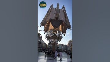 #قران_كريم  آيات بينات من سورة فاطر القرآن هدي وشفاء لما في الصدور.