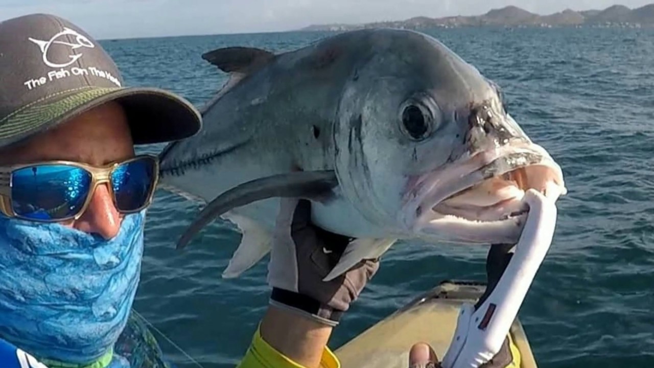 Pesca de mi primer tiburon en kayak YouTube