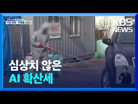심상치 않은 조류인플루엔자…13일까지 전국 일제 소독 / KBS  2022.02.08.