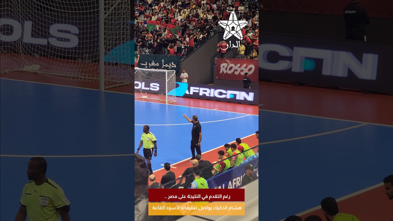 رغم التقدم في النتيجة على مصر .. هشام الدكيك يواصل تعليماته لأسود القاعة