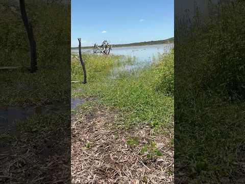 Velha Jaguaribara Açude Castanhão hoje 07/03/2026