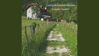 Forest Essentials Tranquility (Loopable Sequence)
