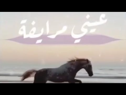 عيني مرايفة ياقلبي وليد الكور   