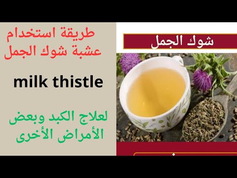 طريقة استخدام عشبة شوك الجمل/milk thistle/علاج أمراض الكبد/فوائد مذهلة