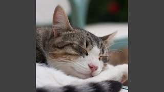 Furry Dreams in Harmonic Layers