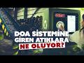 DOA sistemiyle toplanan atıklara ne oluyor?