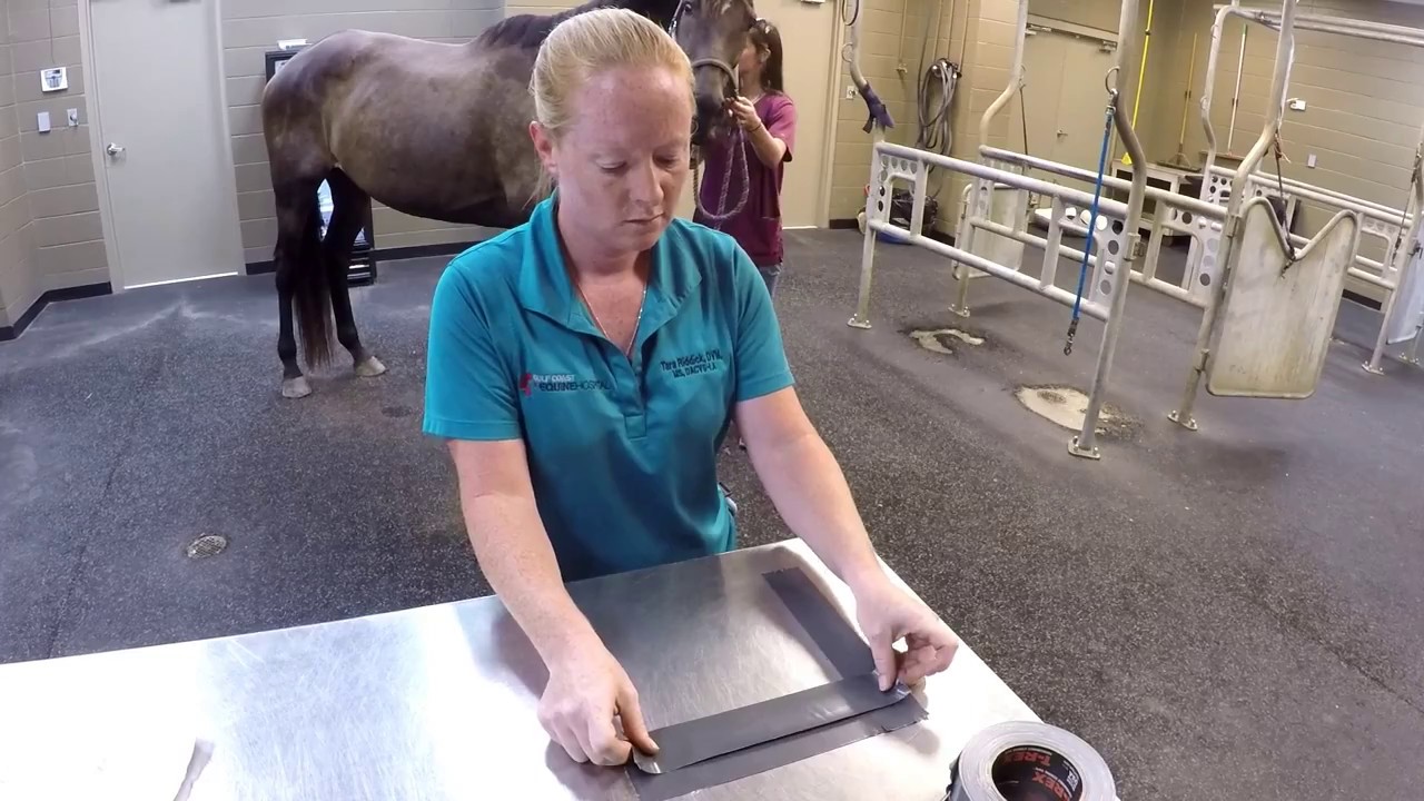 How to shoe a horse using resin - Amazingly satisfying 