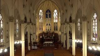 Sacrament of Confirmation - 11am continued