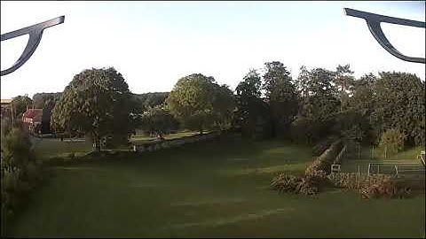 Bugs 3 with C5020 camera