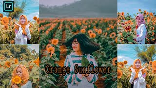 Ala selebgram sunflower preset|Tutorial editing foto lightroom screenshot 4