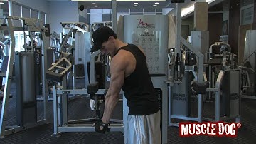 MuscleDog.com Presents: Single Arm Reverse Cable Press Down