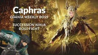 BDO | Edania Weekly - Caphras | Clear | Boss Fight | Succession Ninja | Black Desert Online screenshot 5