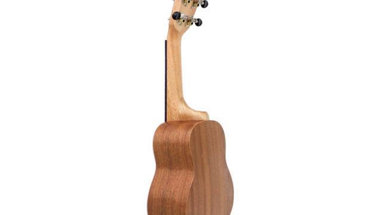 tenor ukulele ราคา 2564