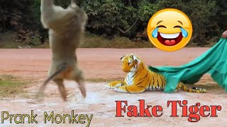 Fake Tiger Prank Monkey and Dog So Funny in 2020