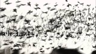 Koreless - 4D